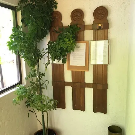 Apartment Katarina Vodice
